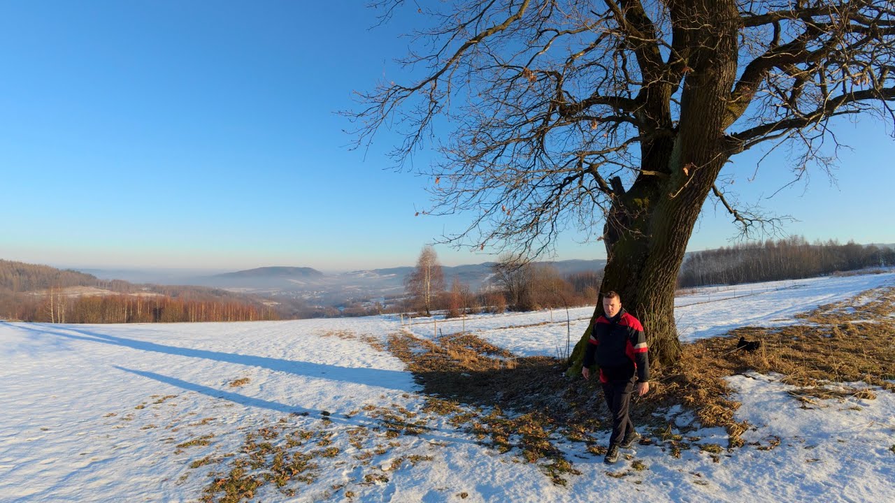 Daily Dose of Chickens, Sun, Hike, Snow. Daily Vlog 