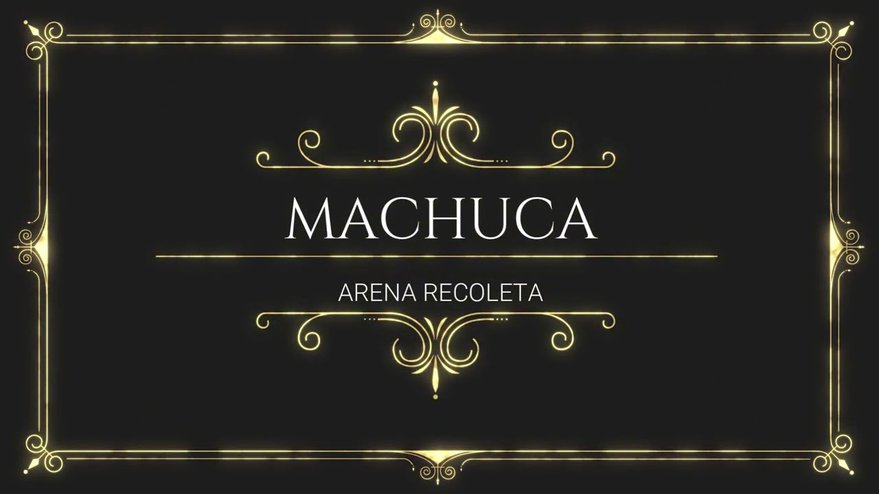 MACHUCA EN ARENA RECOLETA