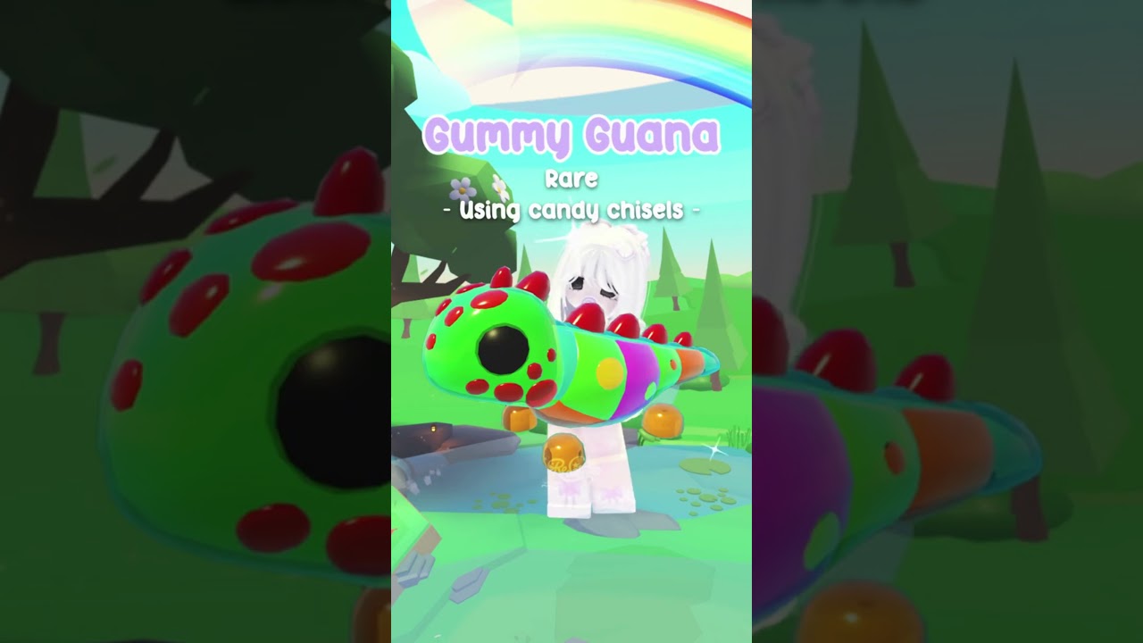 Sugar fest pets! *WEEK 1*