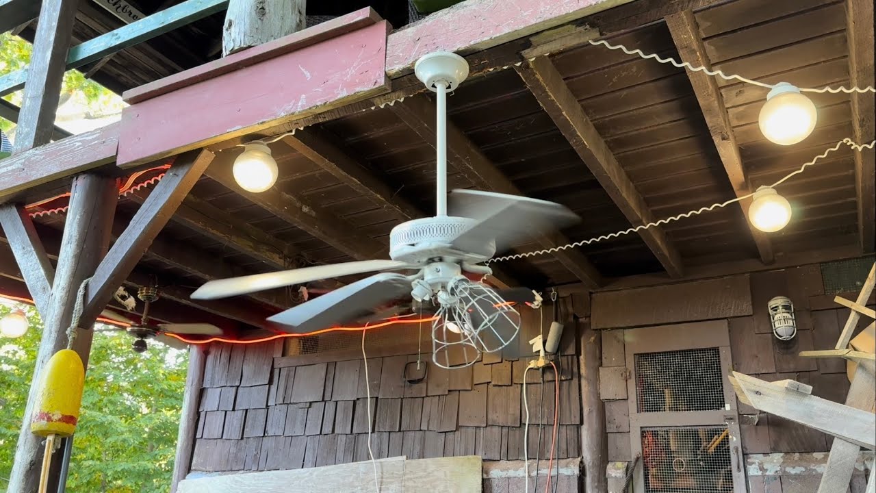 Ceiling Fan Destruction #82