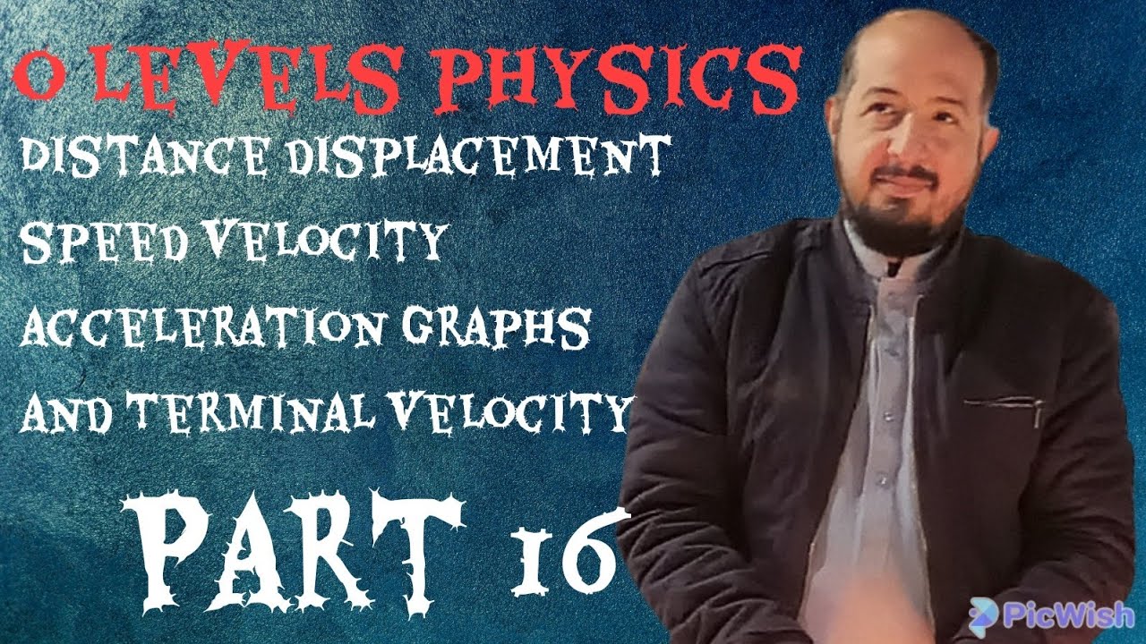 Motion and Terminal Velocity worksheet part 16