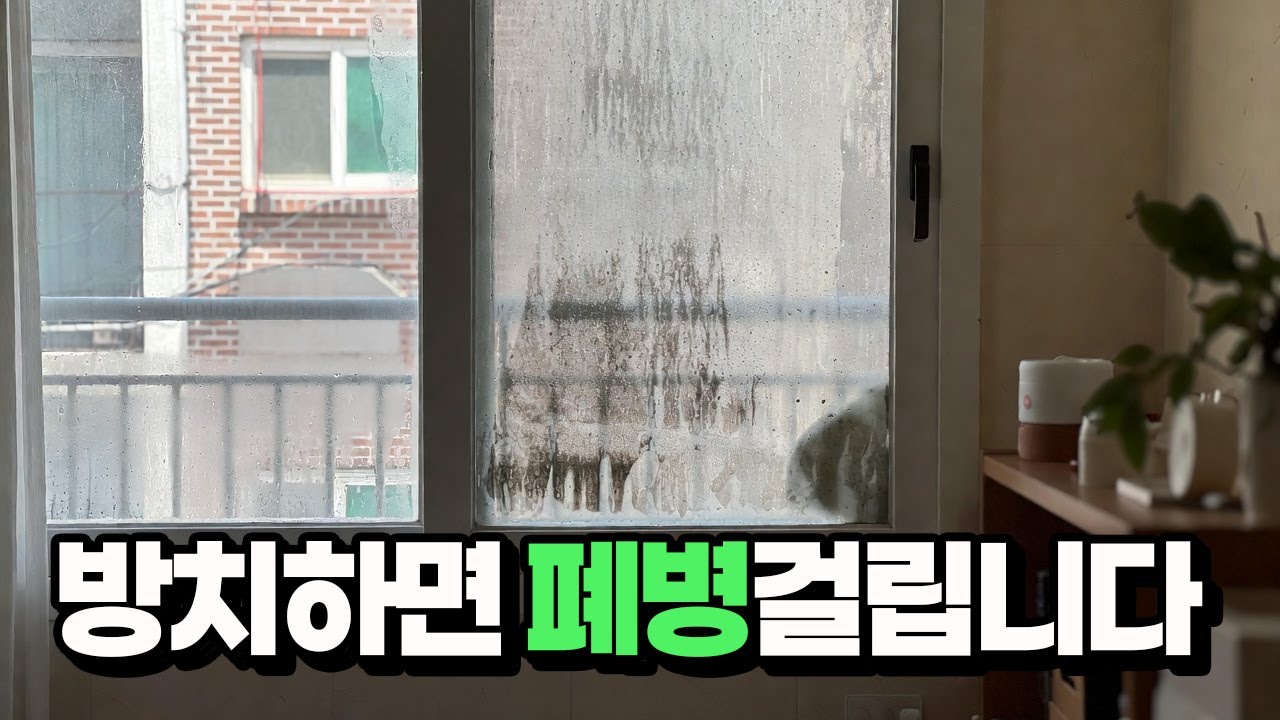 겨울철 결로, 3분만 하면 창틀 곰팡이 안 생깁니다