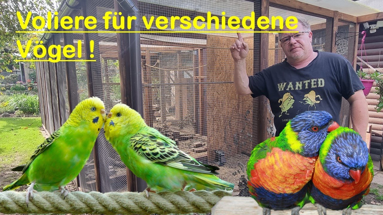 Voliere abteilen für verschiedene Vogelarten!