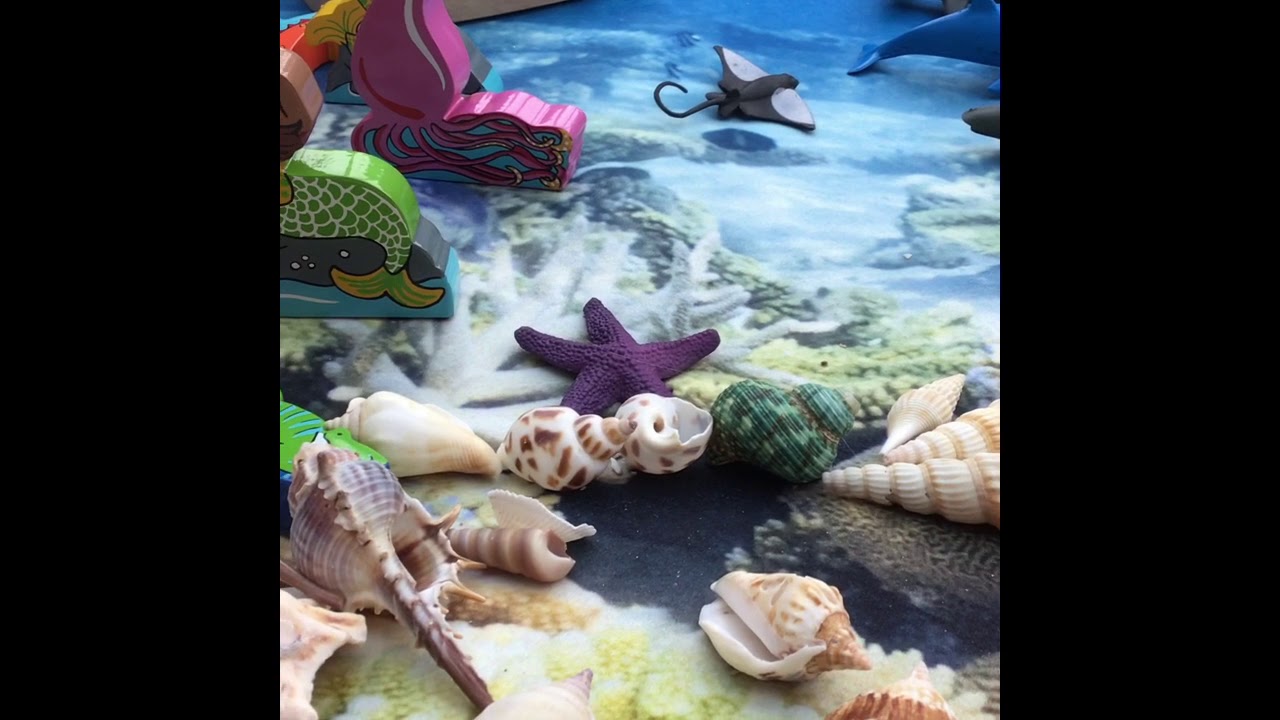 Under the Sea Tuff Tray Kit (Early Years Resources) Review by SEN Resources Blog