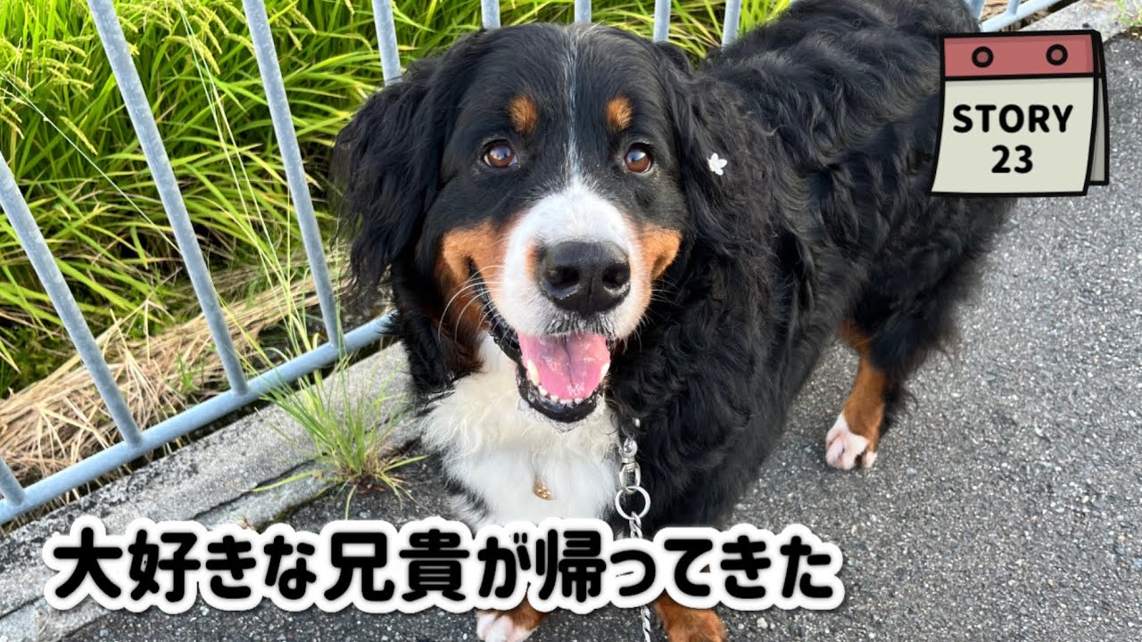 【ななエル物語】大好きな長男が帰宅♪(´ε｀ ) エルさん母との再会
