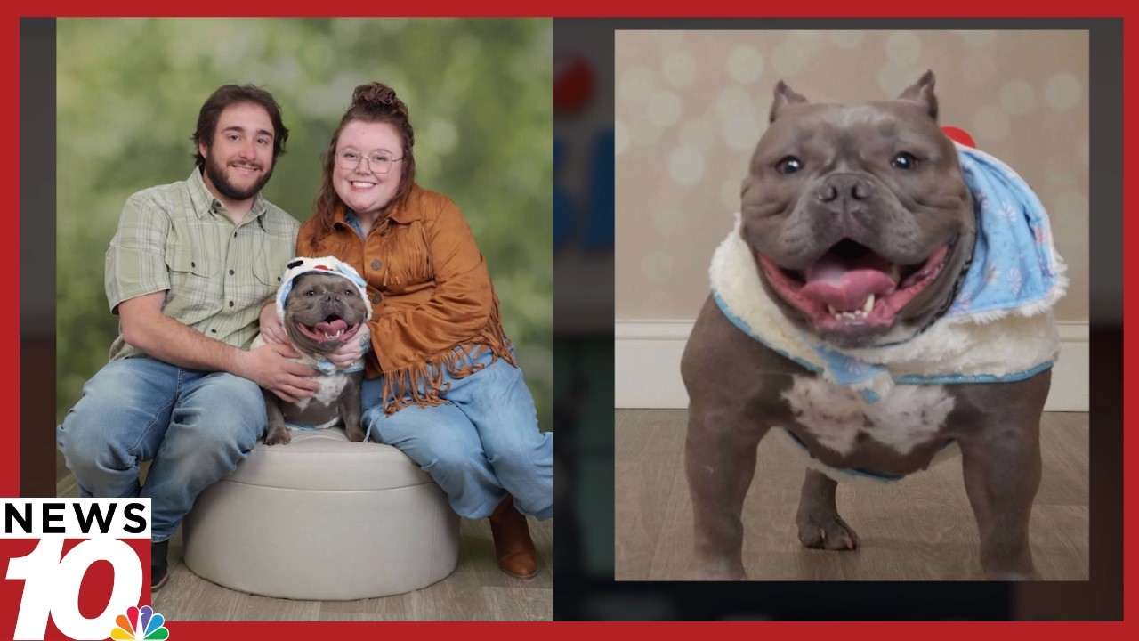 Собака пары из Генриетты умерла после стрижки в PetSmart, владельцы требуют ответов