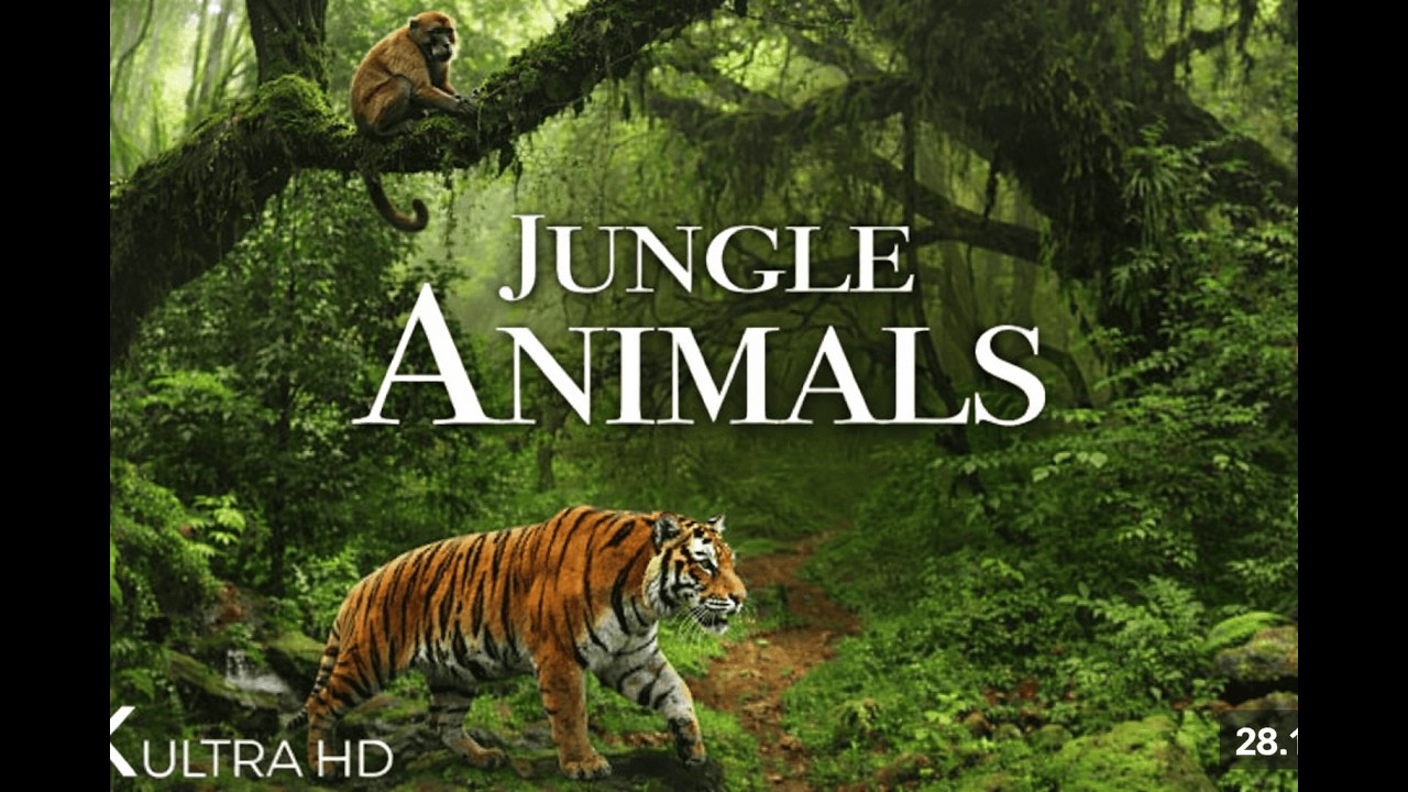 Jungle Animals Documentary  | The Beauty & Tension of the Wild