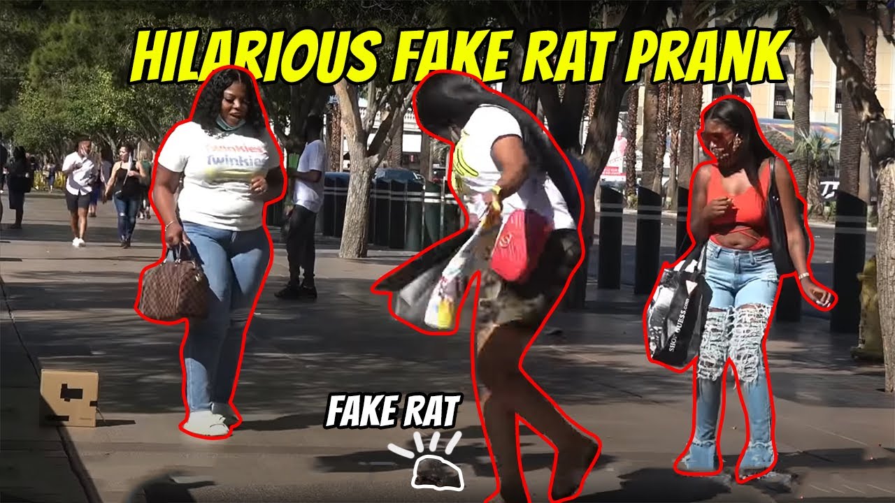 Hilarious Fake Rat Prank **MUST WATCH***