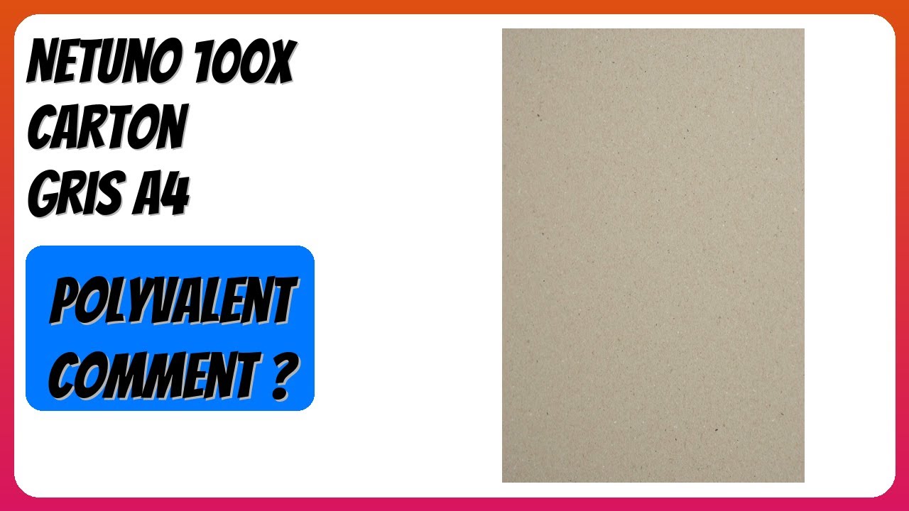 AVIS (2025) : Netuno 100x Carton Gris A4. DÉTAILS