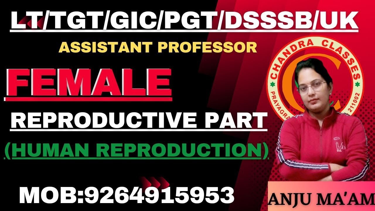 FEMALE REPRODUCTIVE PART || HUMAN REPRODUCTION || BY ANJU MAM
