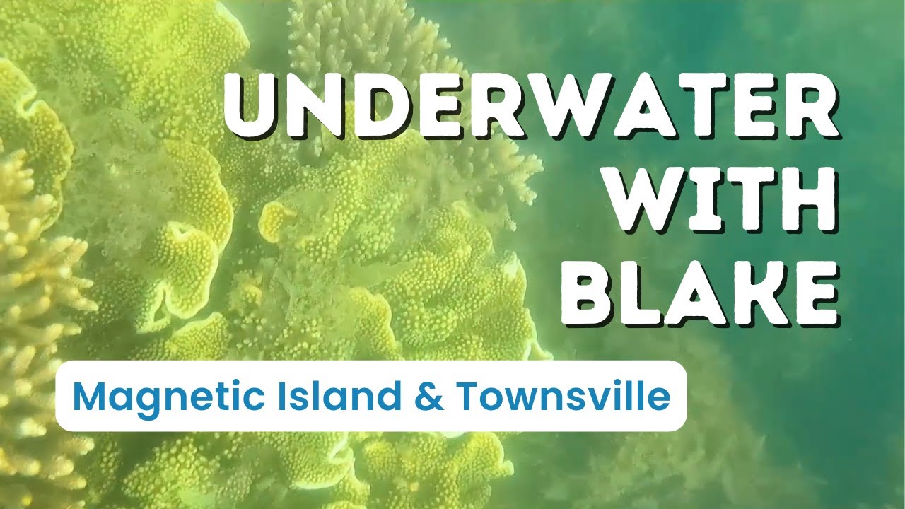 Snorkeling Magnetic Island and Townsville Northern Queensland in June 2022