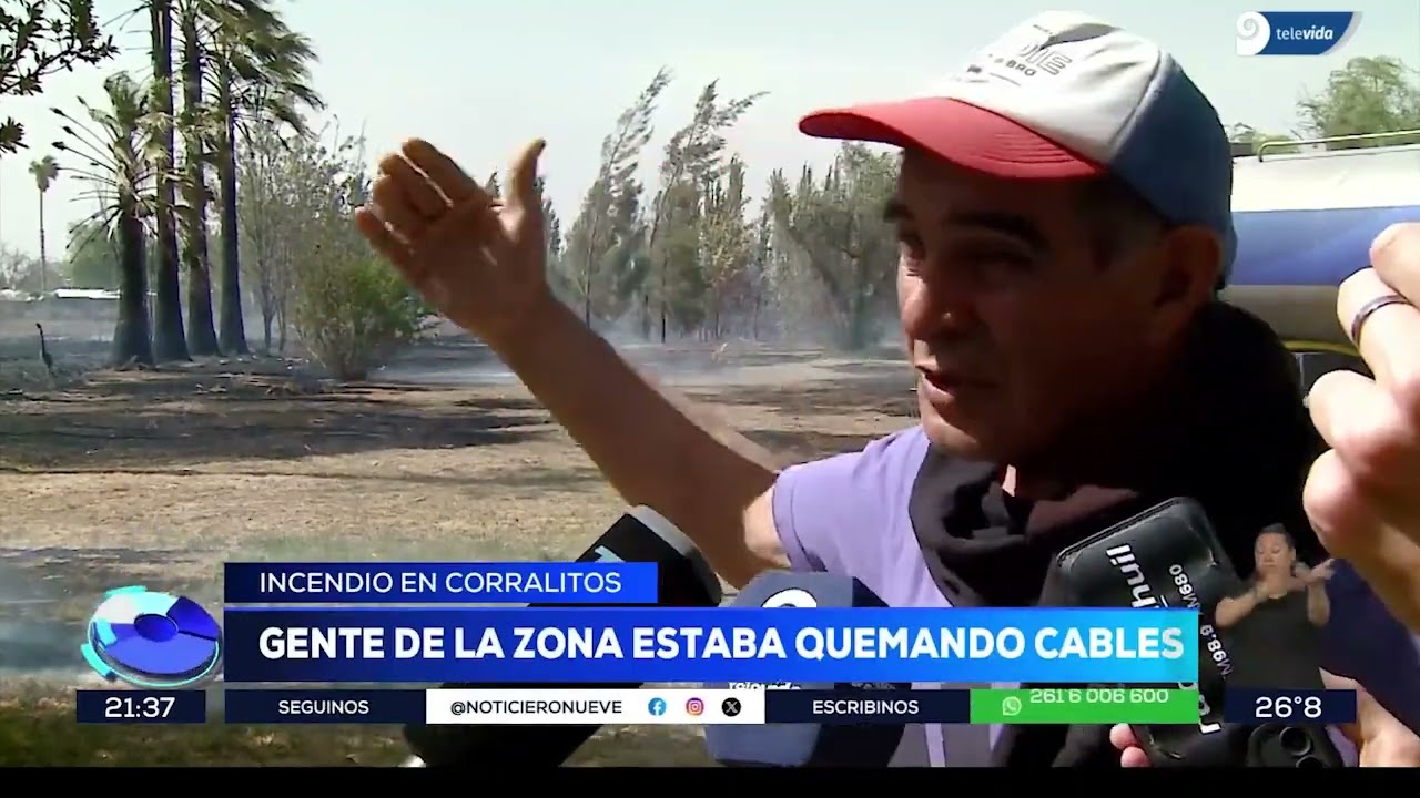 El Zonda pasó por Mendoza: Lavalle uno de los departamentos más afectados