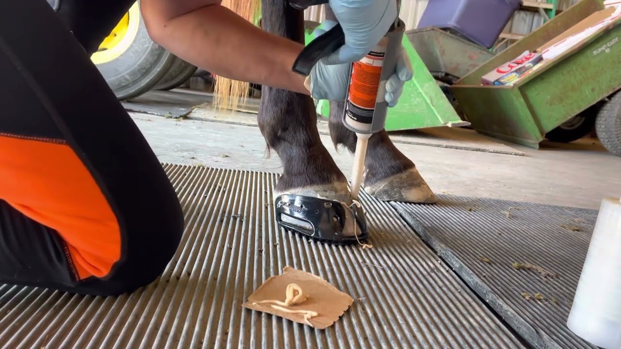 Adding the Adhesive to your Skins