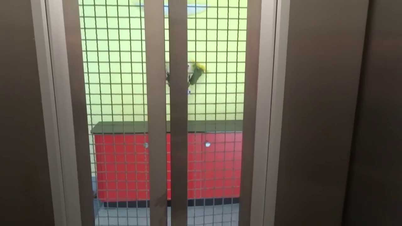 Nice modernized elevator