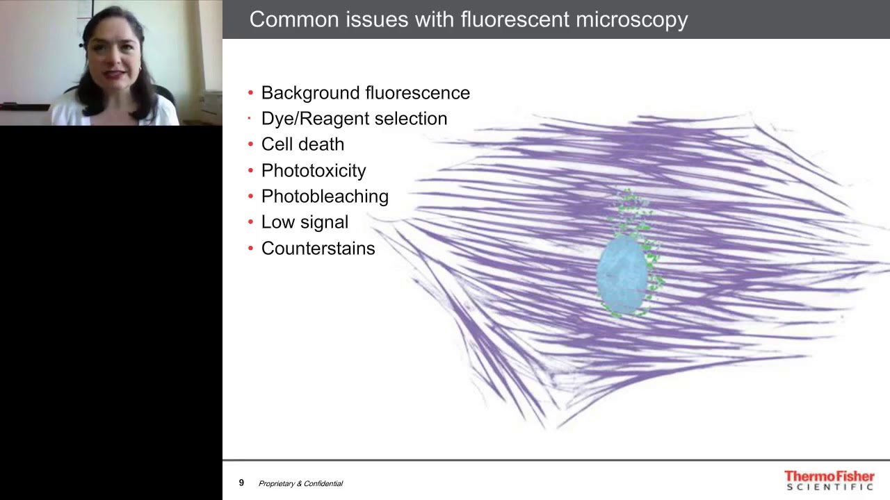 Practical considerations for fluorescence microscopy