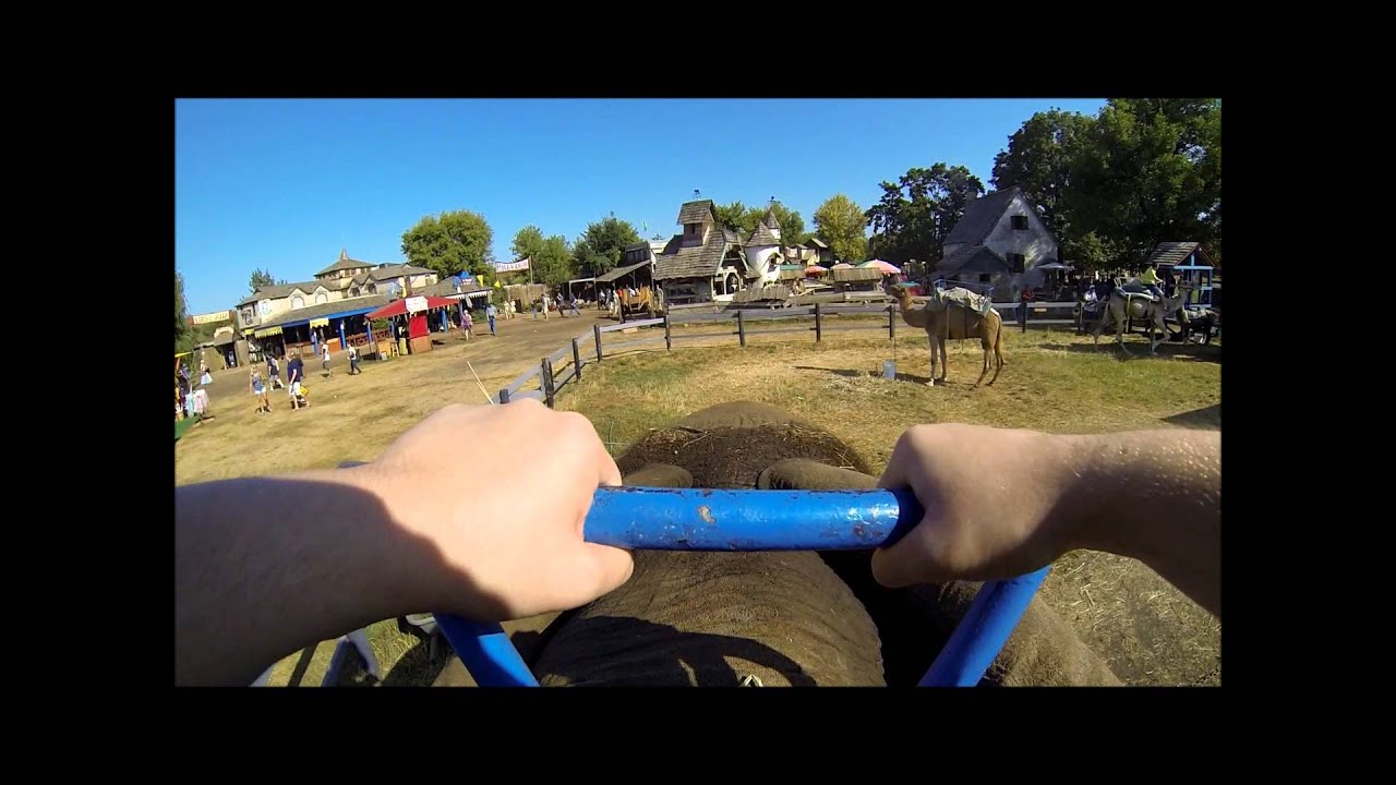 2013 Minnesota Renaissance Festival | GoPro Elephant Ride-On