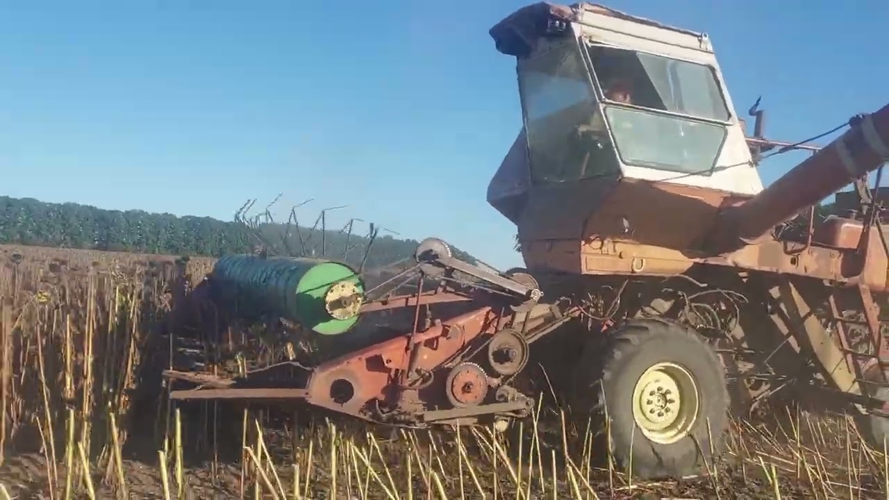 Збираю Соняшник 🌻 Нива СК 5. ( Чорне золото 2025 го року)