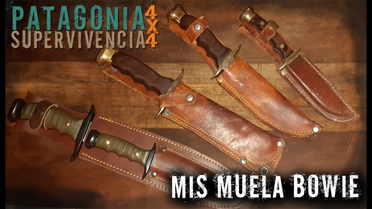 Mis Muela Bowie