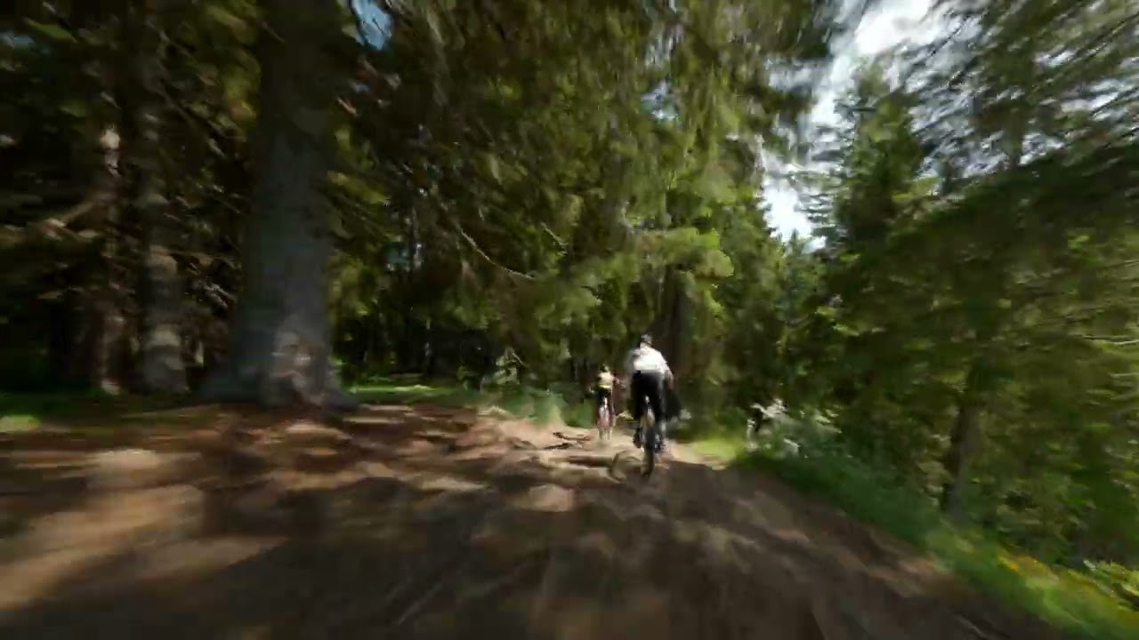 Alp Stätz  -  1,6 km pure Downhill-Action im Bike Kingdom | FPV Trailcheck