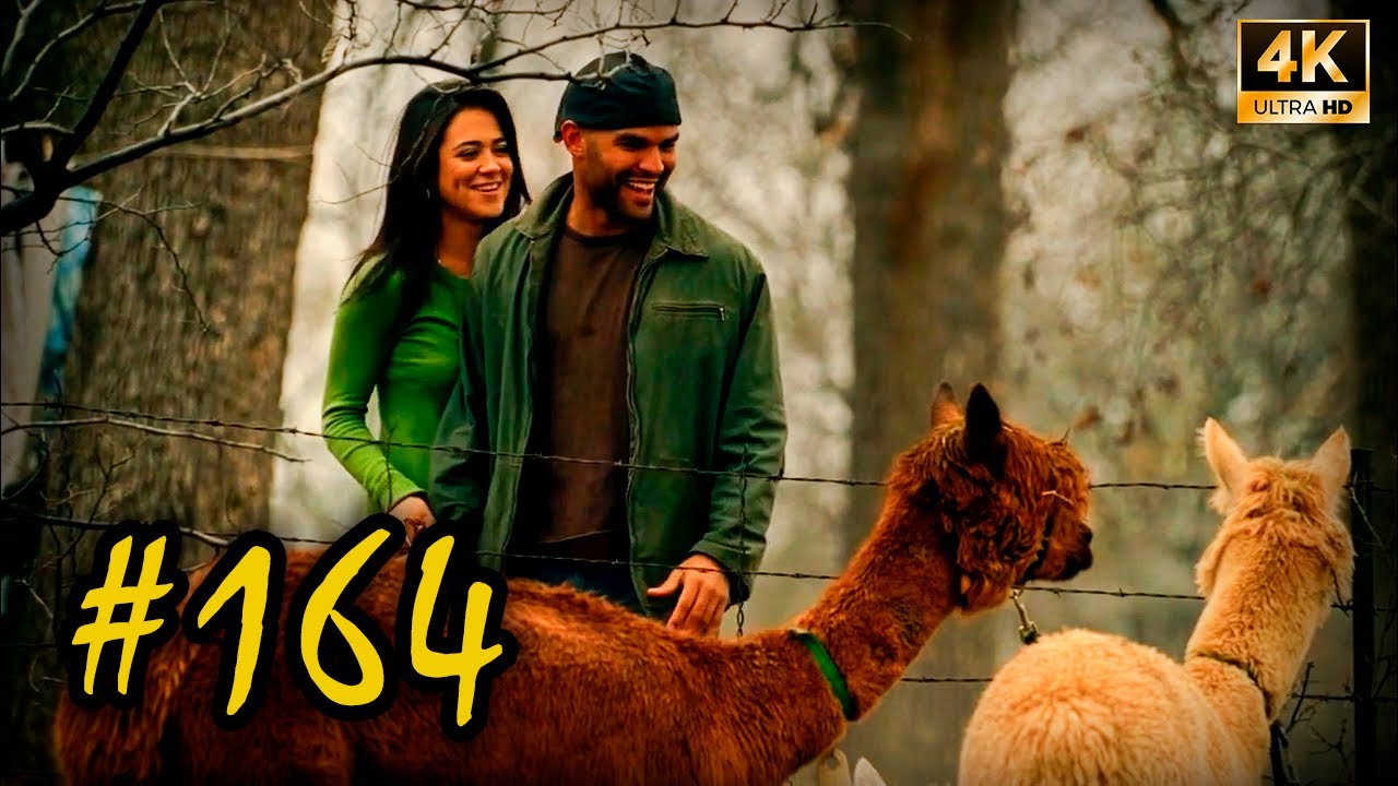 Sucre finally met Maricruz! Chase after Sucre in Mexico | Prison Break (164), 4K