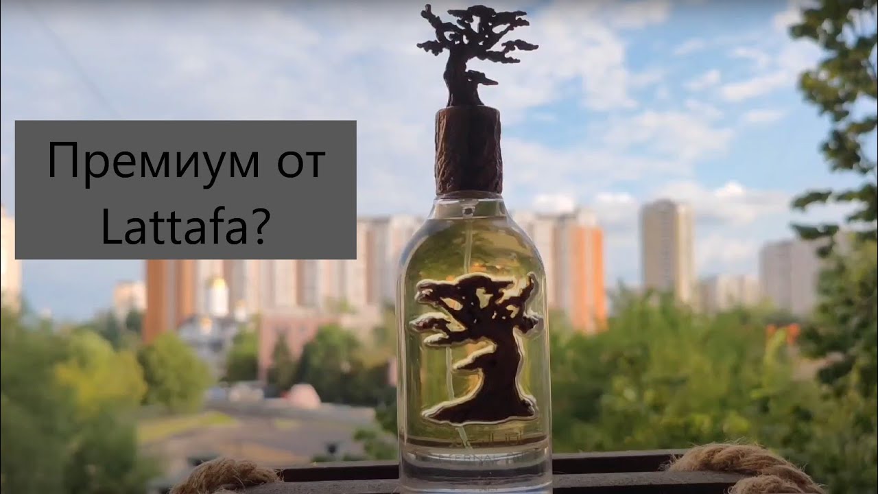 Арабы! Lattafa Eternal Oud - теплая амбра #электропарфюмер #маркинпарфюмрф