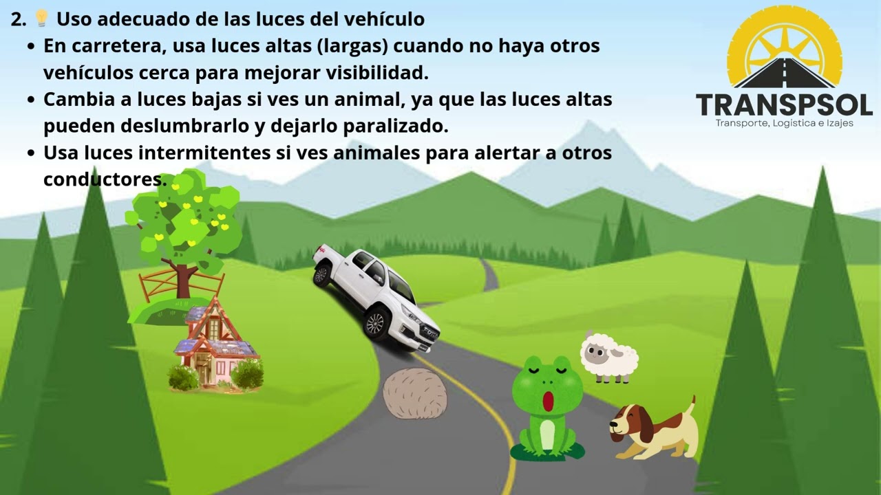 Prevenci&oacute;n de accidentes con animales en la v&iacute;a