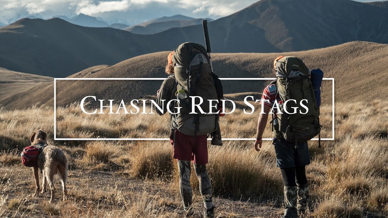 Hunting Red Stags || New Zealand || The Weekend Mish ep2, S2