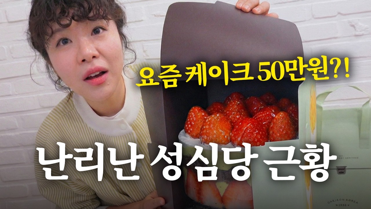 미쳐버린 빵값의 대한민국!! 그래도 다들 성심당에 줄 서는 진짜 이유