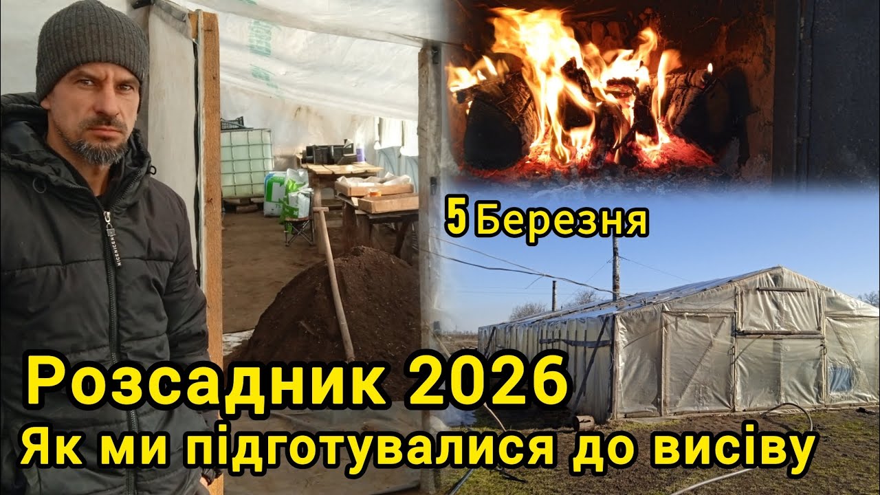 Як ми підготувалися до висіву огірка. Розсадник 2026.