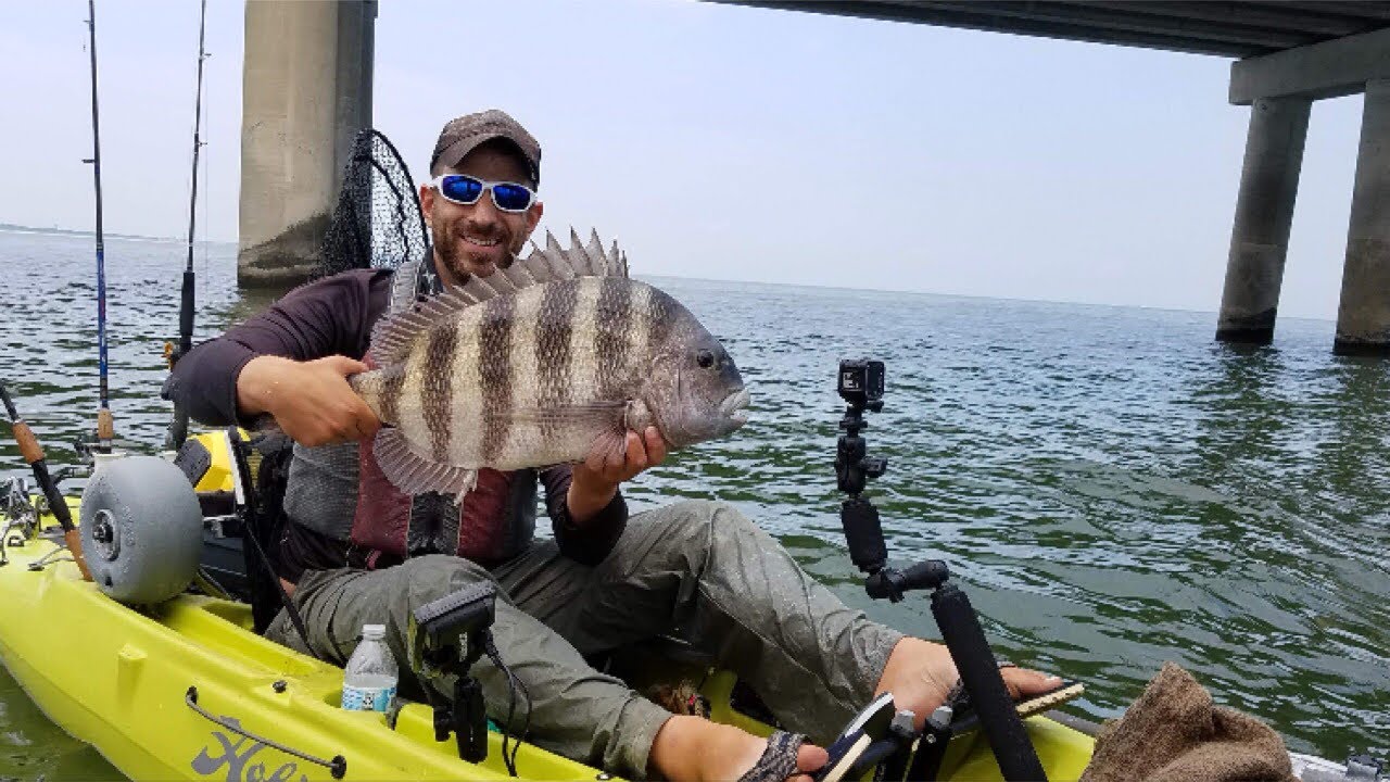 BRIDGE MONSTERS! - Jumbo Sheepshead Fishing & A SURPRISE CATCH!
