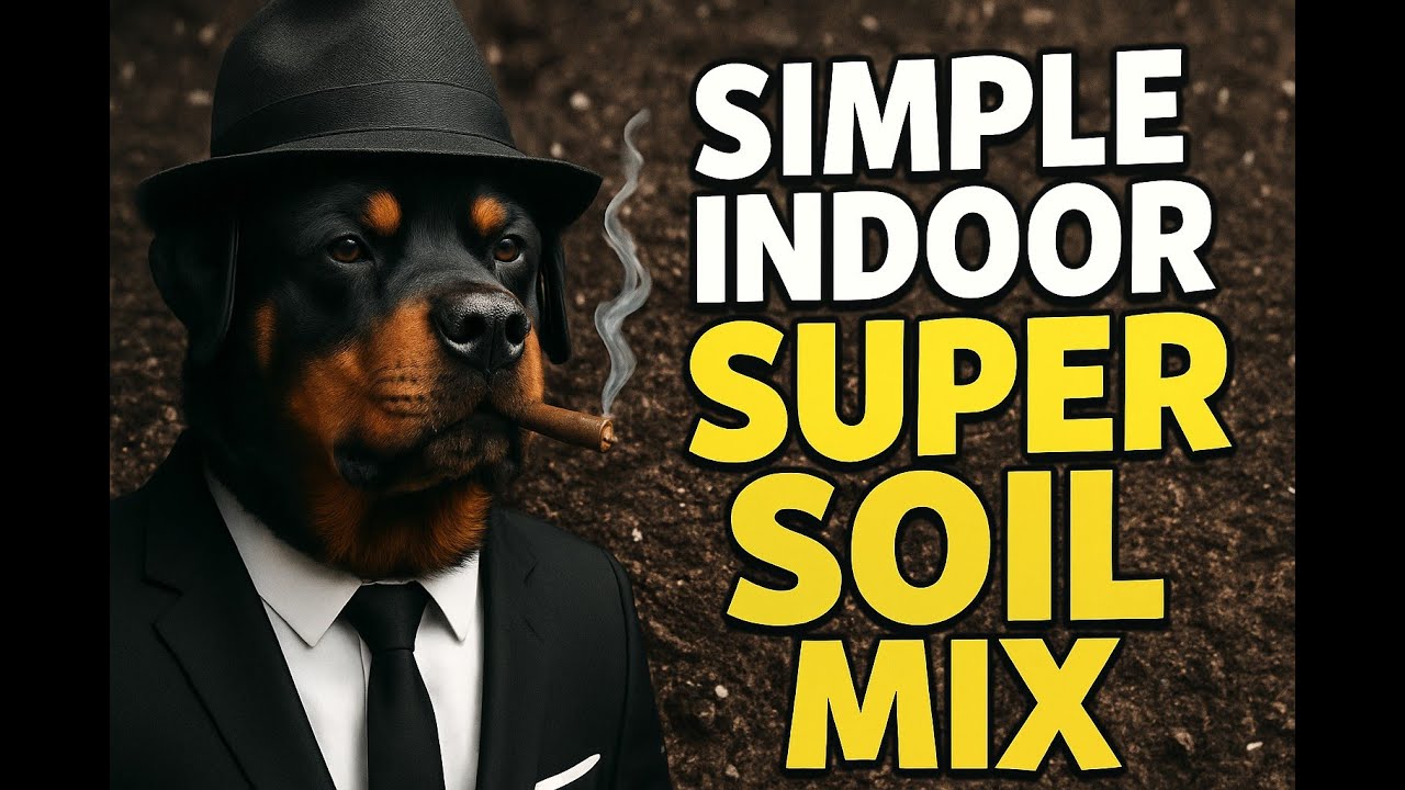 Simple Indoor Super Soil Mix for Indoor Plants