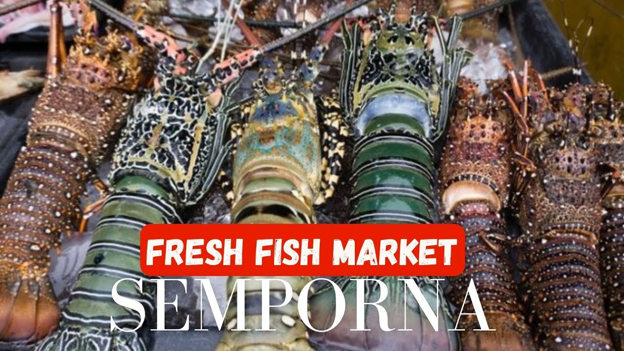 [4K] Ikan Segar-Segar di Semporna Sabah.