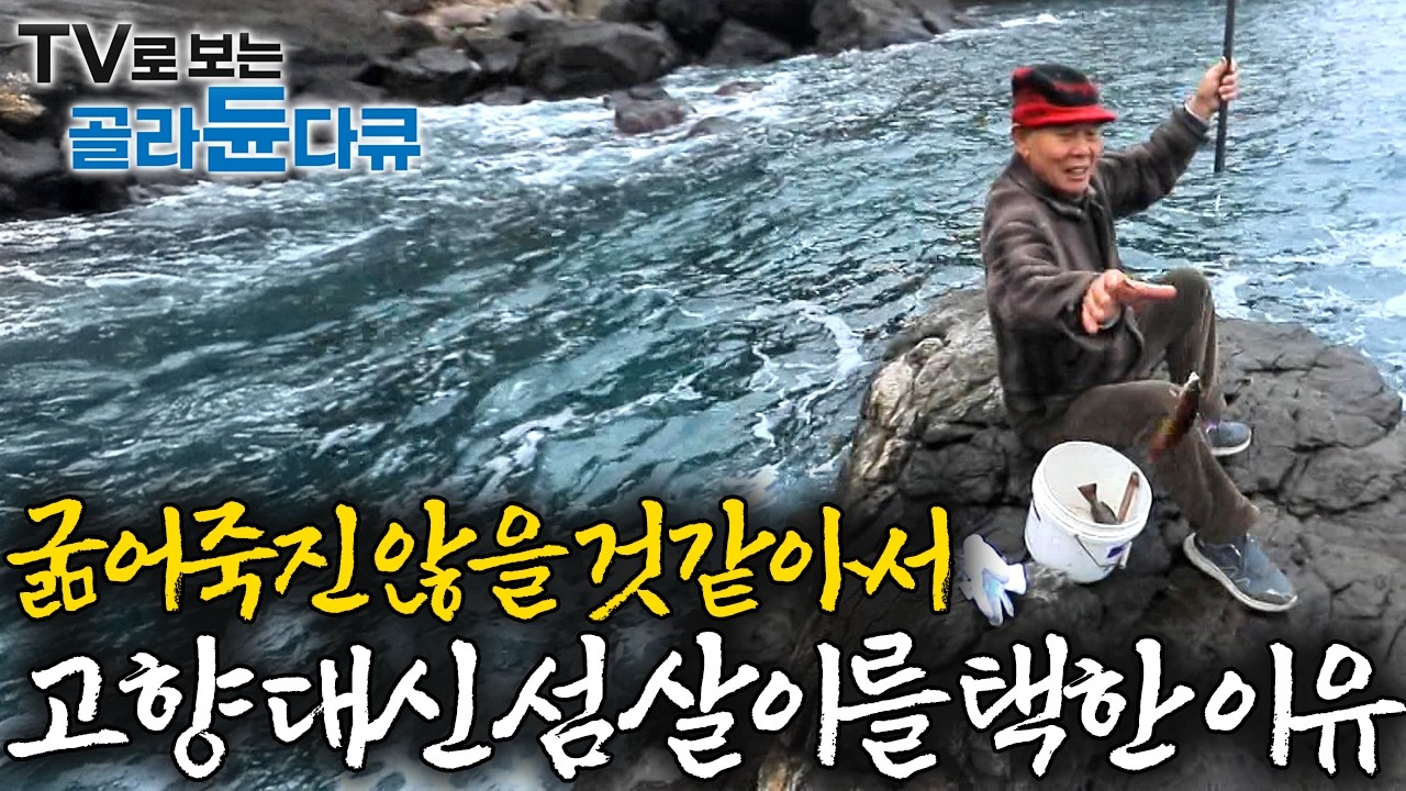 퇴직하면 아무 일 안 하고 그냥 편하게 살고 싶었다. 널린 게 먹을 거라 굶어죽진 않겠다 싶어서 들어온 섬, 울릉도에 사는 사람들｜한국기행｜#골라듄다큐