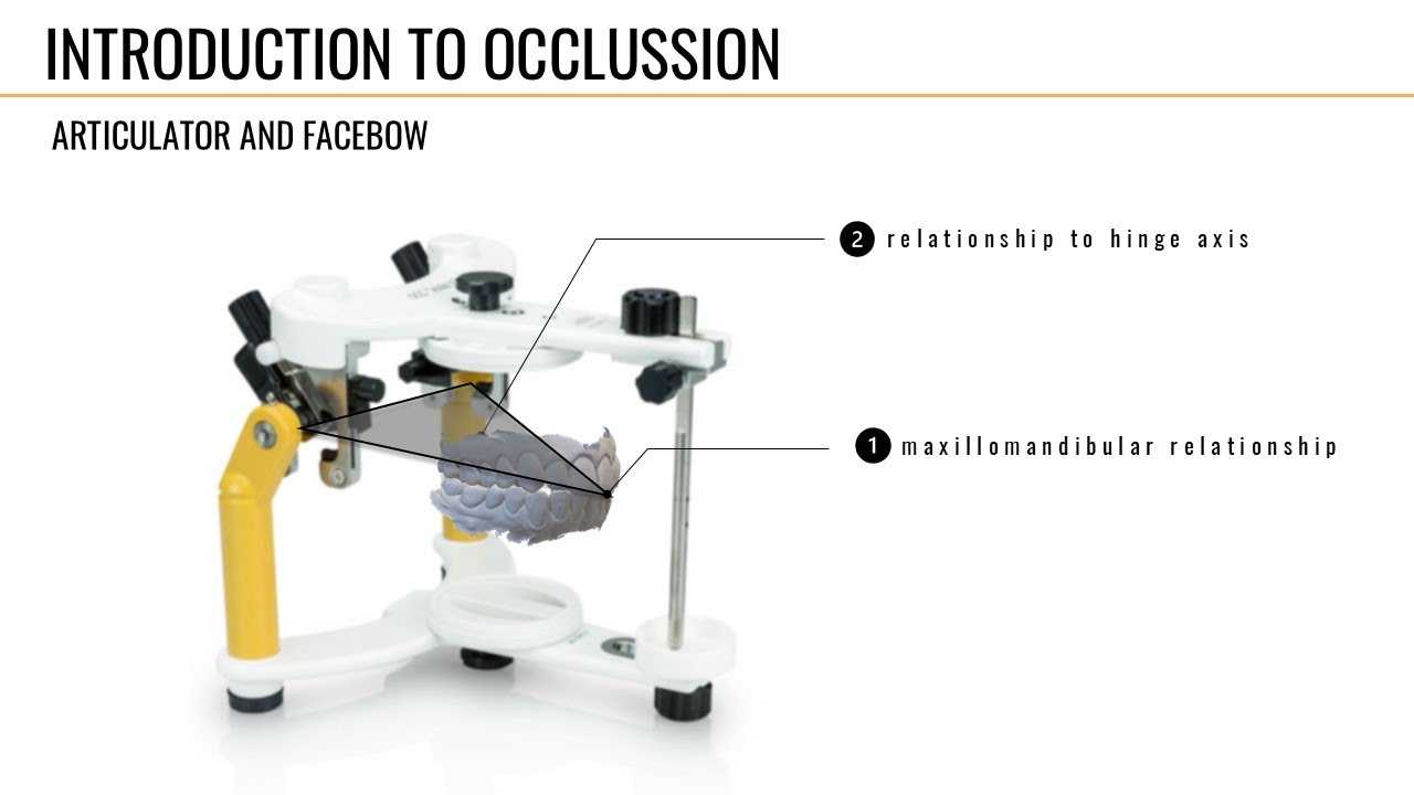 Introduction to Occlusion: Articulator and Facebow