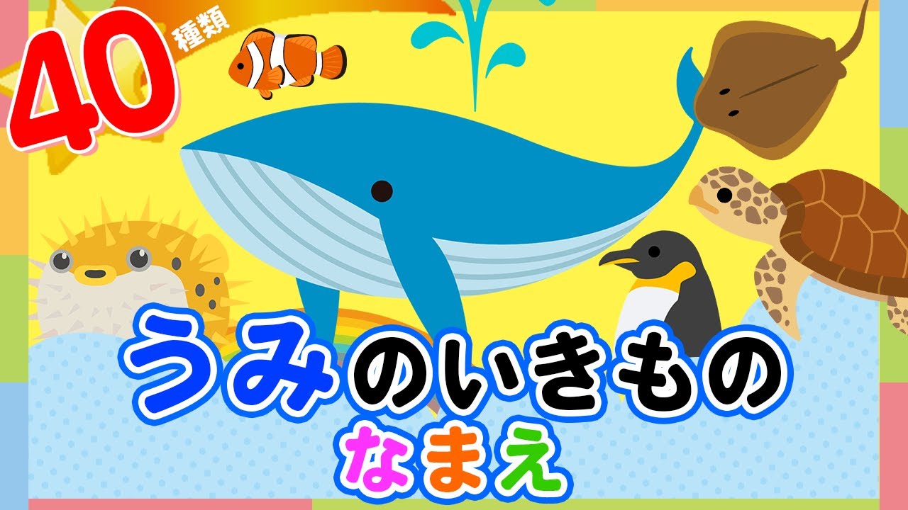 40種類！うみのいきもののなまえをおぼえよう！！｜0歳、1歳、2歳　Learn Sea Animal Sea Creature Names in Japanese