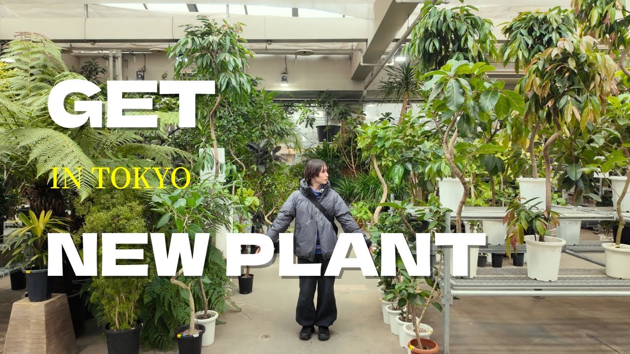 【VLOG】関東最大級のガーデンセンター オザキフラワーパークで 素敵な観葉植物と出会う🌳👐｜購入品紹介｜観葉植物｜塊根植物｜多肉植物