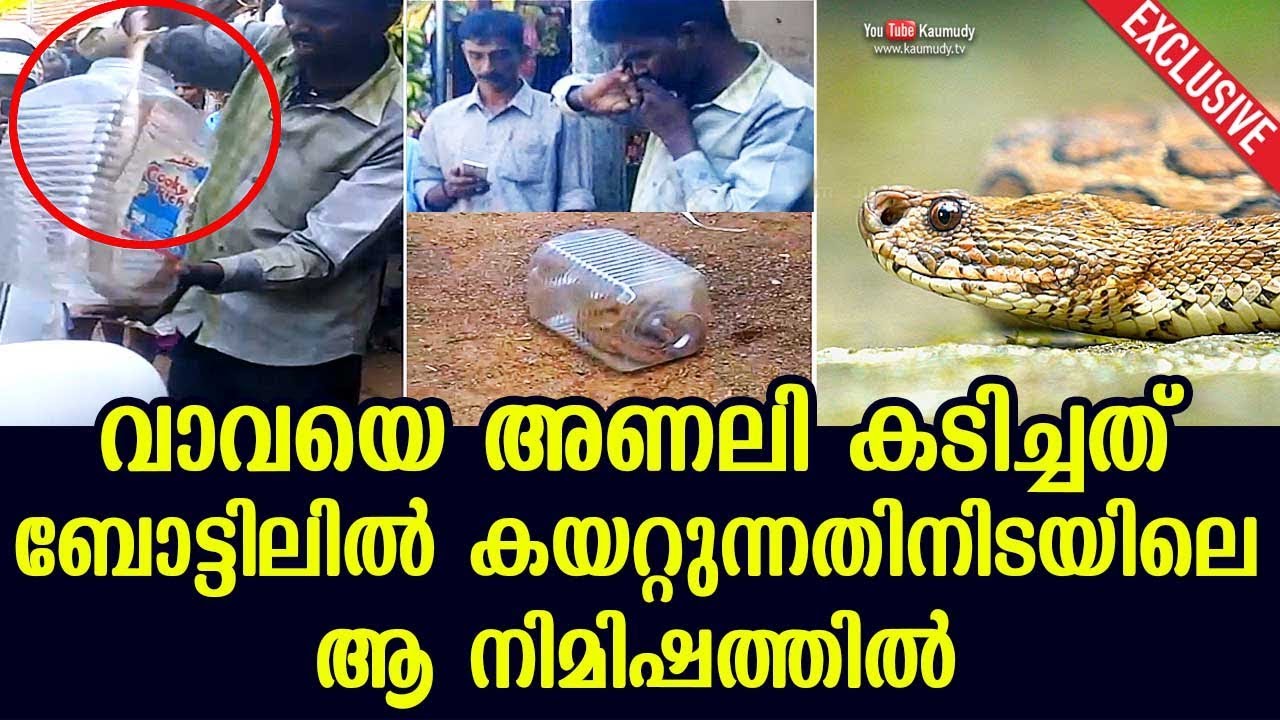 Exclusive | That moment when Vava Suresh got bitten by the Viper | Kaumudy