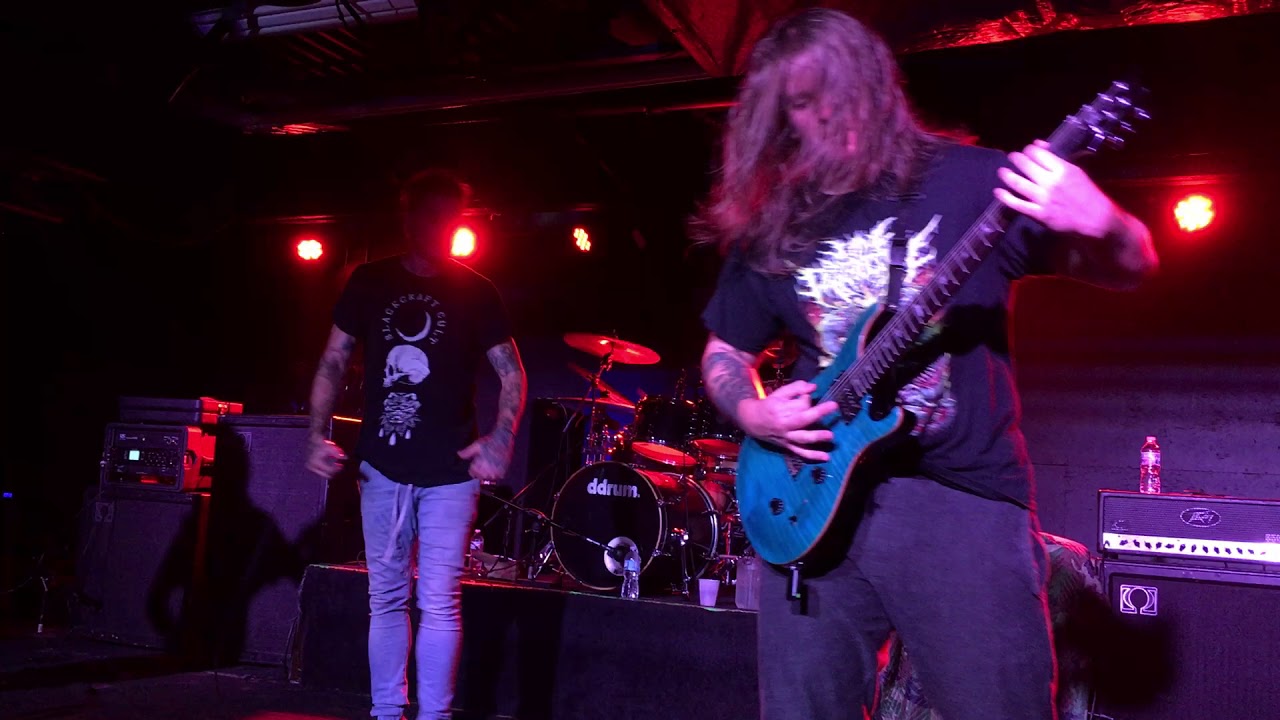 Signs of The Swarm- Cowards Deathbed