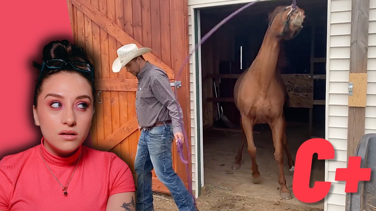 Let&rsquo;s Judge Horse Trainers: Ryan Rose