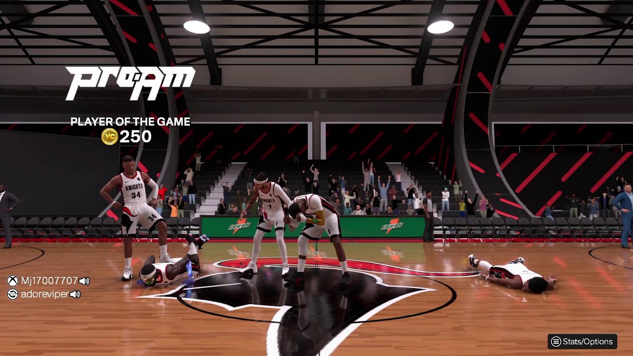 PRO AM BUMP
