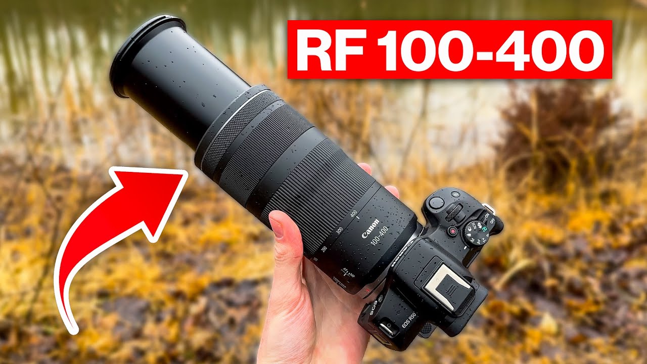Canon R50 + RF 100-400mm IS USM | Review & Photo/Video Examples