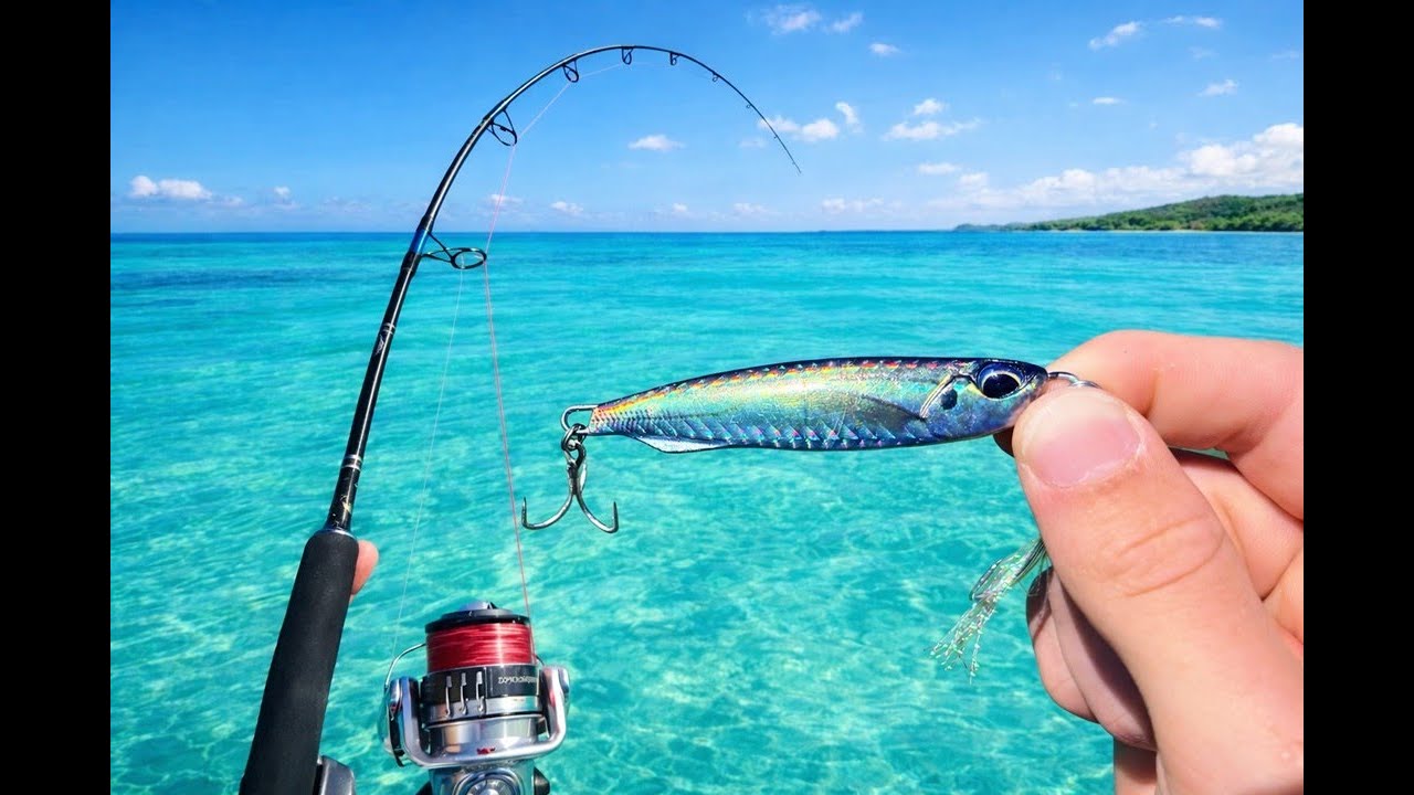 Jigging for Kingfish 