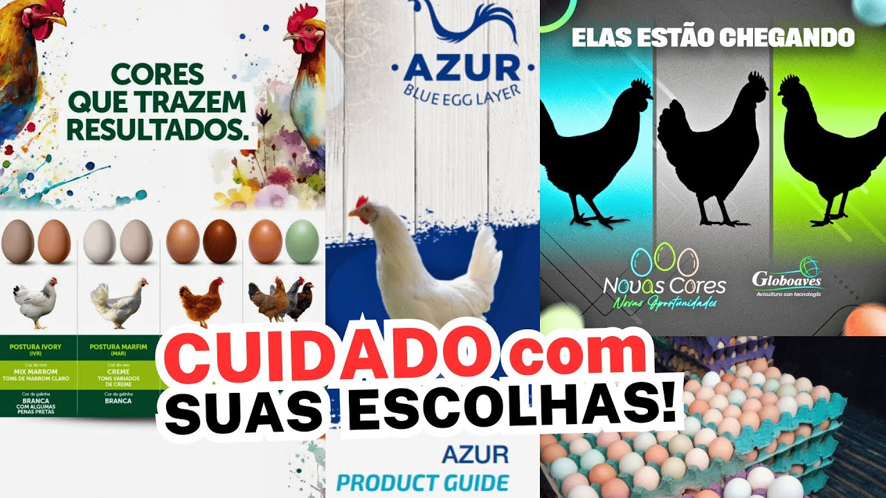 CUIDADO com SUAS ESCOLHAS: GENÉTICAS para 2025 PROMETEM modificar o mercado de ovos caipira
