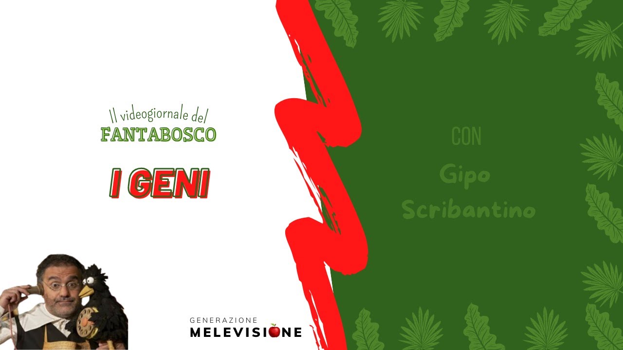 IL VIDEOGIORNALE DEL FANTABOSCO 📰 I Geni