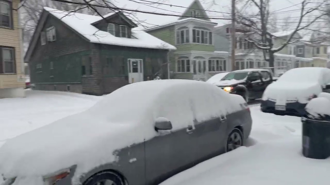 Albany Disappears Under Snow ❄️ | Nature Took Over NYC’s Backyard @JP_WanderLens 