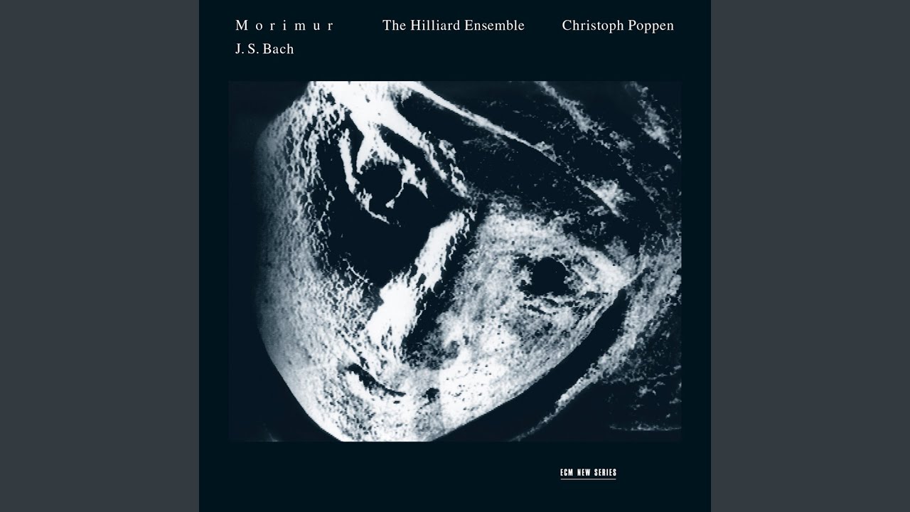 J.S. Bach: Partita No. 2 for Solo Violin in D Minor, BWV 1004: V. Chaconne