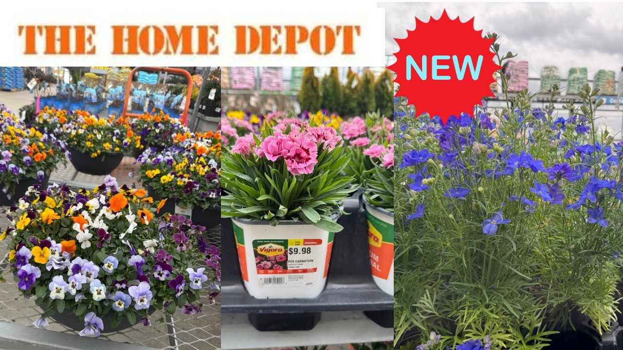 HOME DEPOT BEST NEW PLANTS ARRIVALS FOR SPRING |HOW TO MAKE YOUR GARDEN BEAUTIFUL?