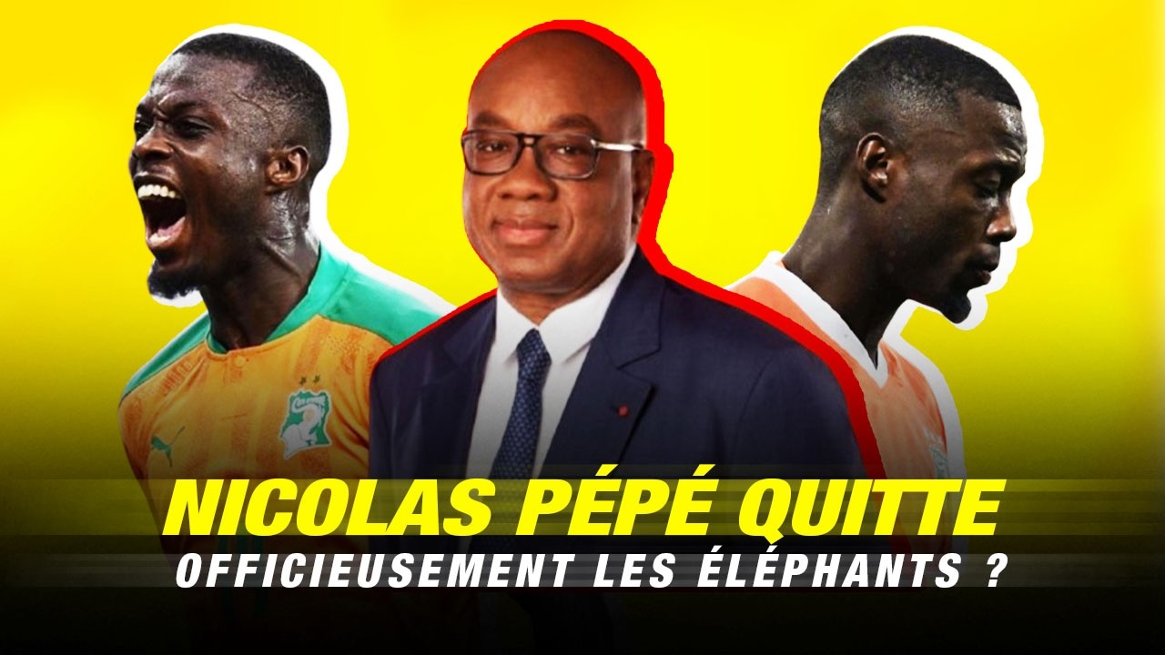 NICOLAS PÉPÉ CHASSÉ DES ÉLÉPHANTS DE LA COTE D'IVOIRE ?