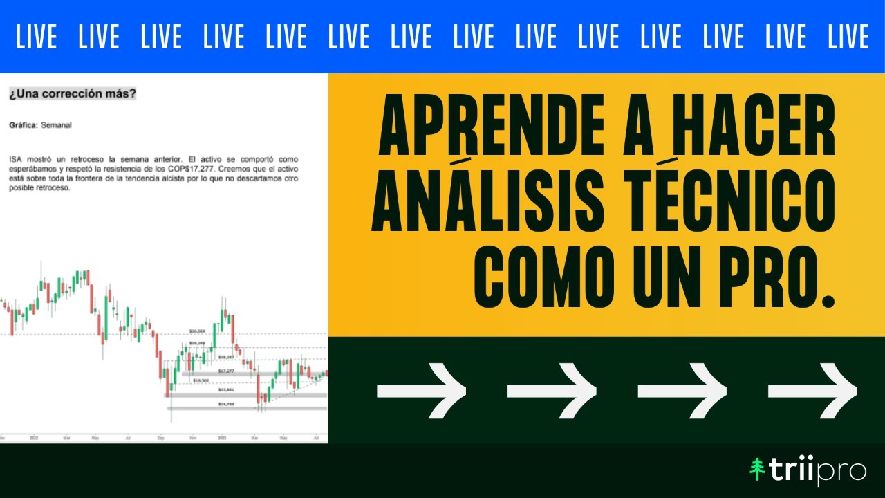 An&aacute;lisis t&eacute;cnico desde triipro