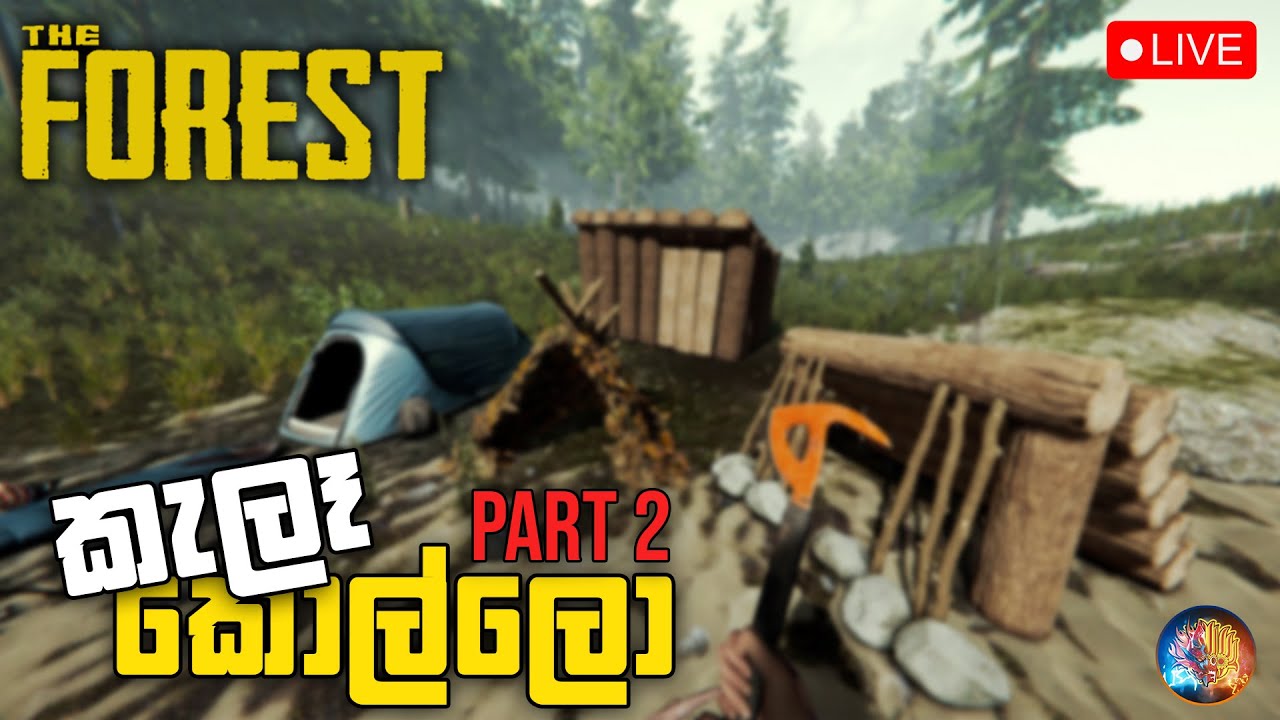 කැලෑ කොල්ලො | The Forest With Bois